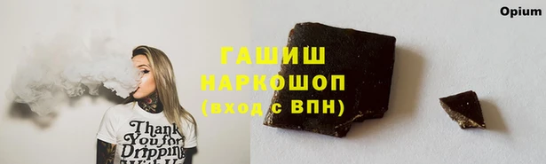 МДПВ Михайлов