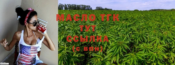 МДПВ Михайлов