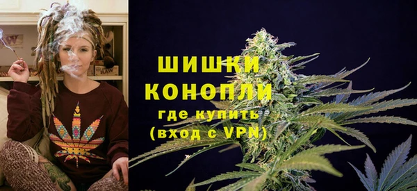 МДПВ Михайлов