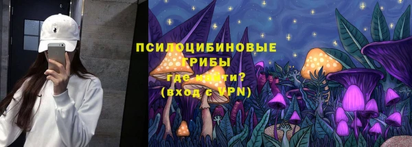 твердый Михайловск