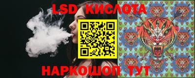 дживик Гай