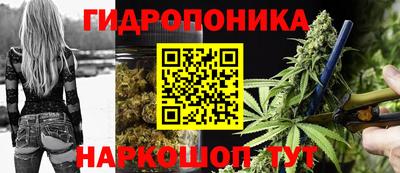 дживик Гай