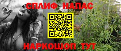 дживик Гай