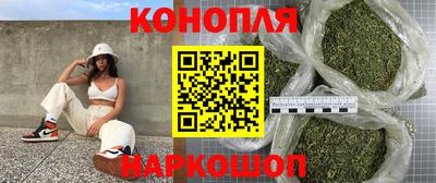 дживик Гай