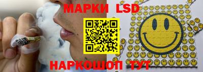 дживик Гай