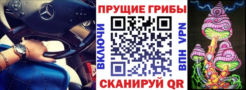 Псилоцибиновые грибы прущие грибы  kraken зеркало  Морозовск 