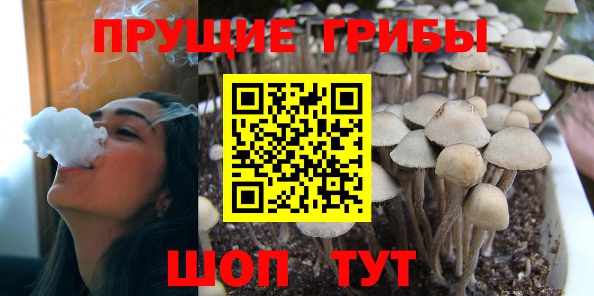 Галлюциногенные грибы Cubensis  Морозовск 