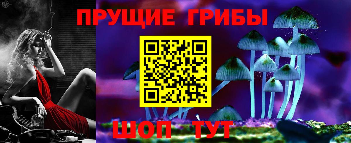 Морозовск  Псилоцибиновые грибы Cubensis  где купить наркоту  Вход с VPN 