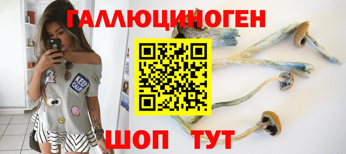 Галлюциногенные грибы Psilocybine cubensis Морозовск